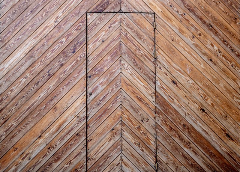 Seamless Hidden Doors